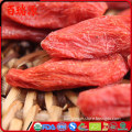 Promote skin goji berries protein anti-aging goji berry